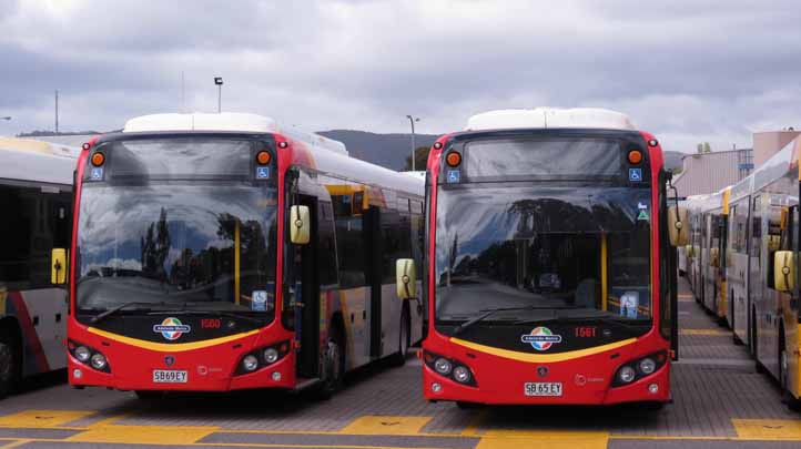 Adelaide Metro Scania K280UB Custom CB80 1560 & 1561